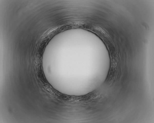 X0000112970773200909241326