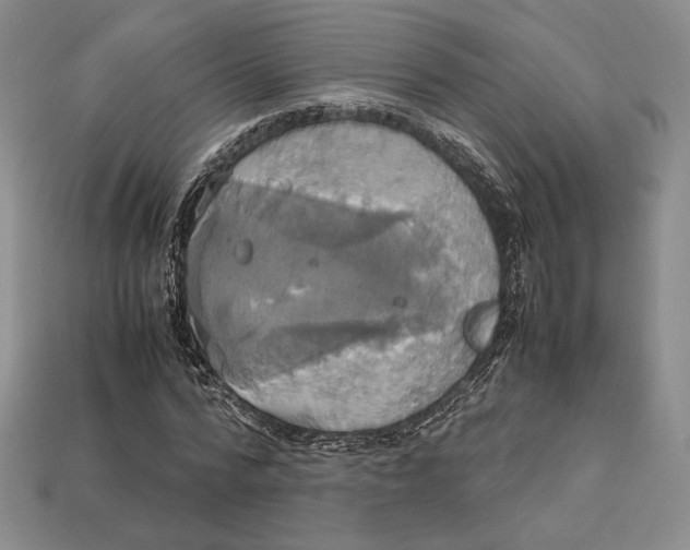 X0000112970776200909241326
