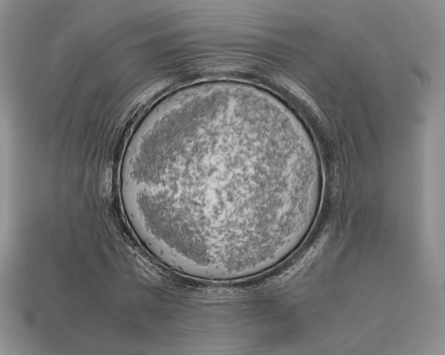 X0000112970777200909241326