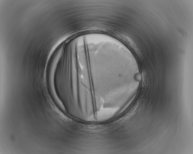 X0000112970780200909241326