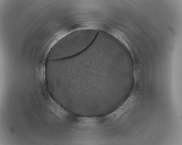 X0000112970781200909241326