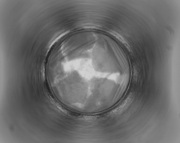 X0000112970782200909241326