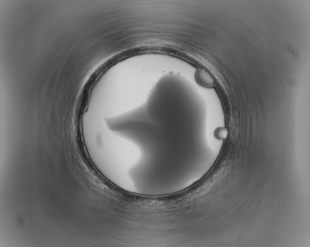 X0000112970783200909241326