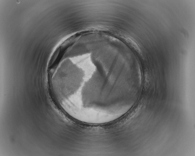 X0000112970784200909241326