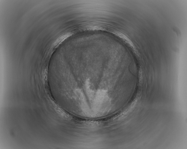 X0000112970785200909241326