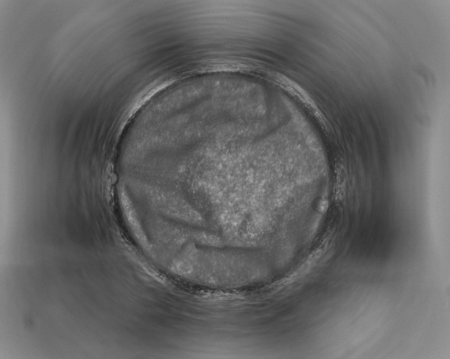 X0000112970786200909241326