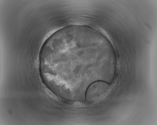 X0000112970787200909241326