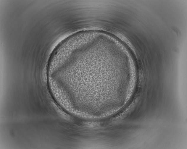 X0000112970789200909241326