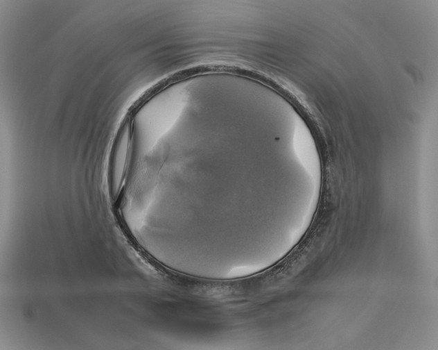 X0000112970791200909241325