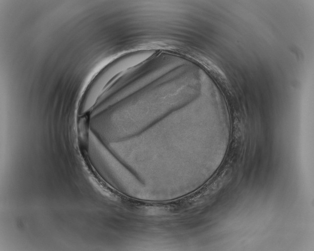 X0000112970792200909241325