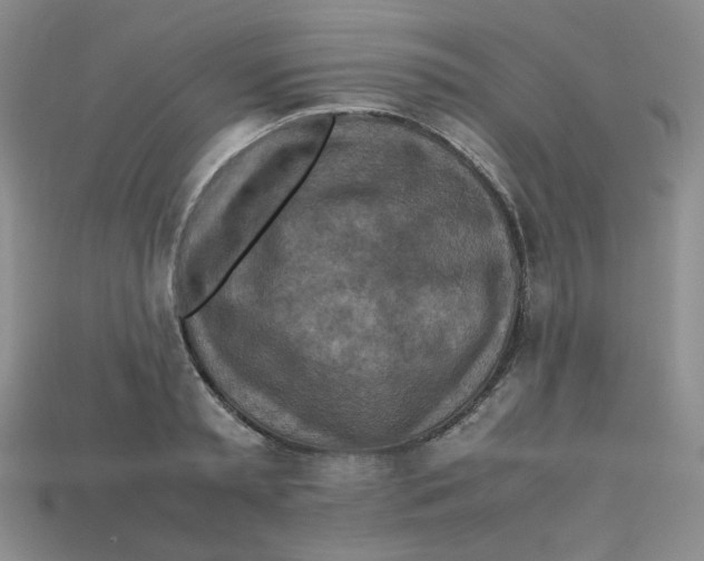 X0000112970797200909241325