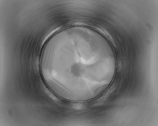 X0000112970798200909241325
