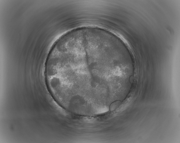 X0000112970799200909241325