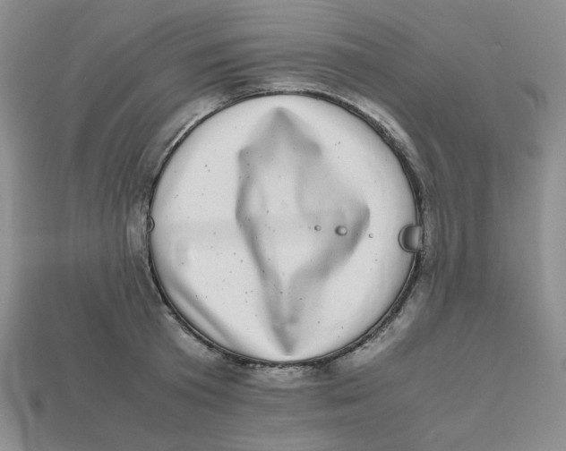 X0000112970801200909241325