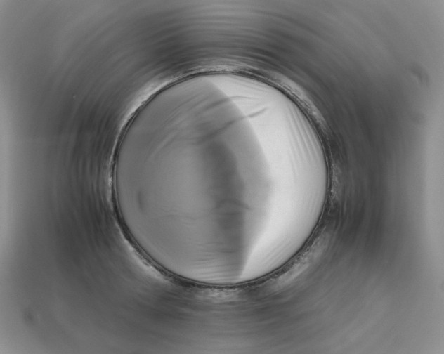 X0000112970802200909241325
