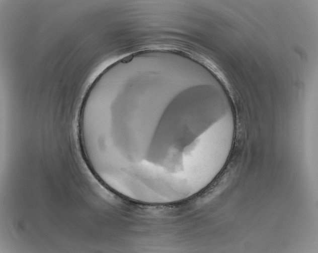X0000112970803200909241325
