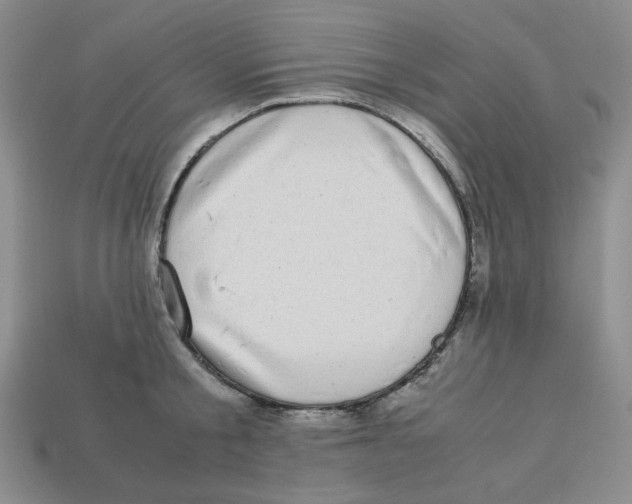X0000112970805200909241325