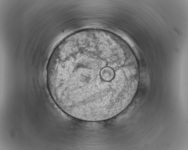 X0000112970807200909241325