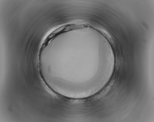X0000112970808200909241325
