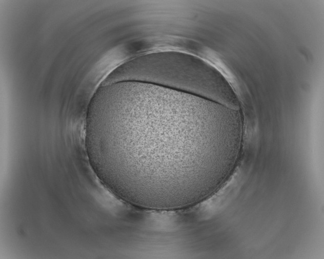 X0000112970809200909241325