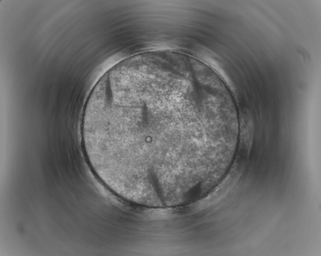 X0000112970810200909241325