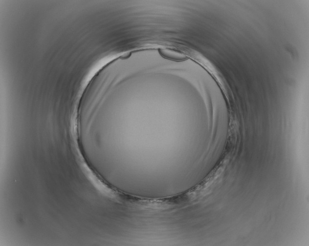 X0000112970811200909241325