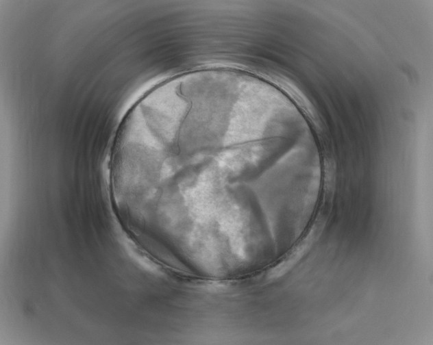 X0000112970814200909241325