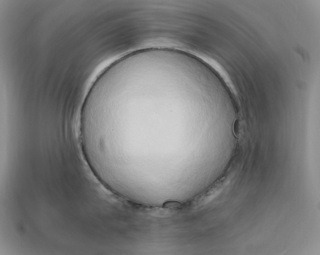 X0000112970815200909241325