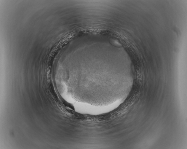X0000112970818200909241325
