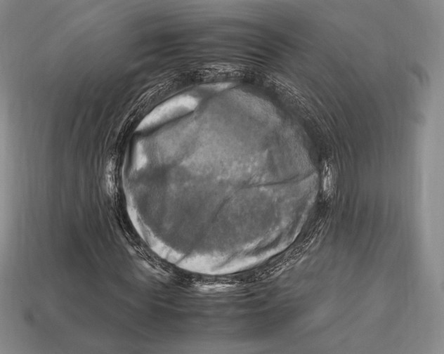 X0000112970819200909241325