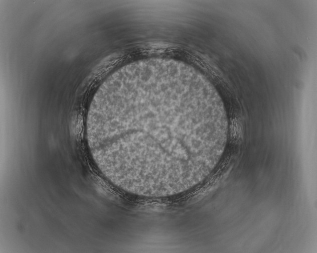 X0000112970820200909241325