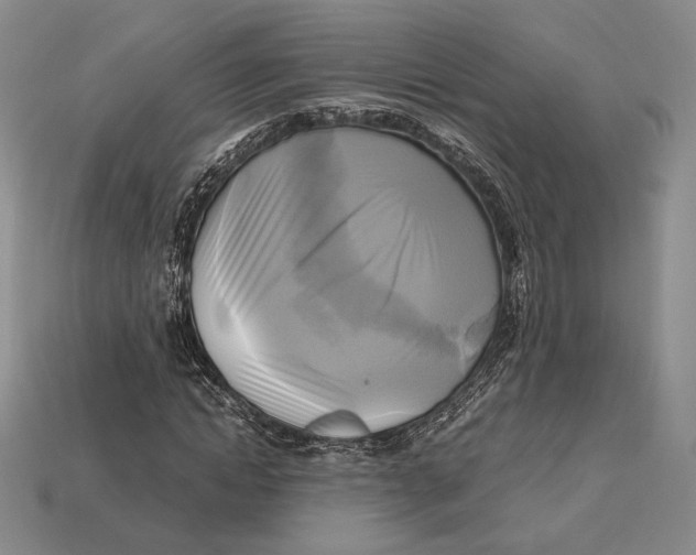 X0000112970822200909241325