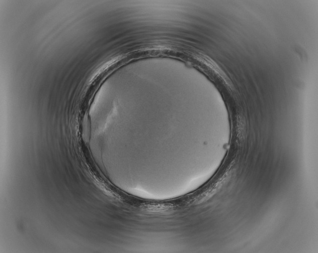 X0000112970826200909241325