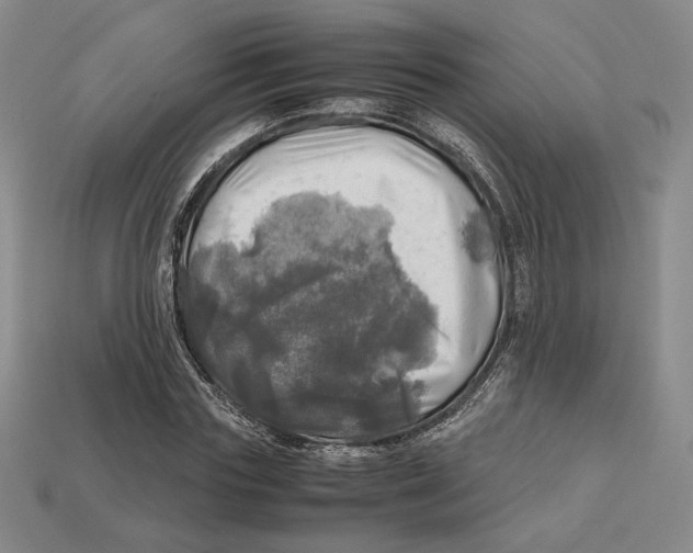 X0000112970827200909241325