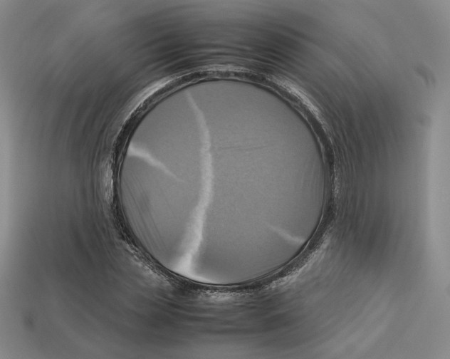 X0000112970829200909241325