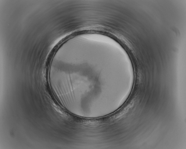X0000112970830200909241325