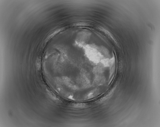 X0000112970833200909241325