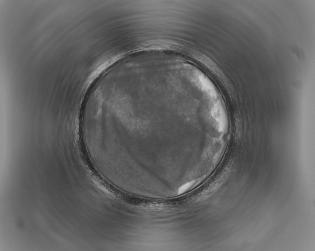 X0000112970834200909241325