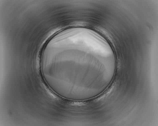 X0000112970835200909241325
