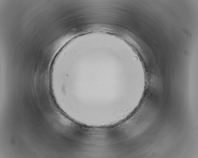 X0000112970836200909241325