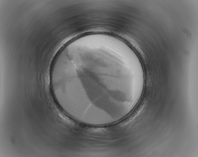 X0000112970837200909241325