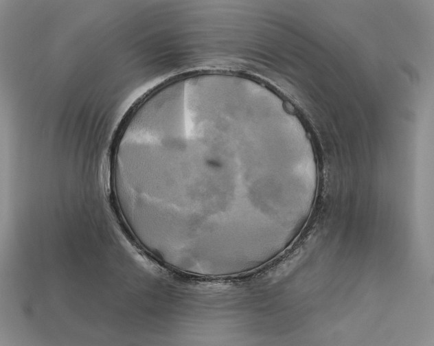 X0000112970838200909241325