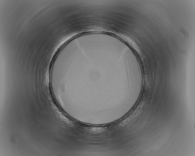X0000112970839200909241325