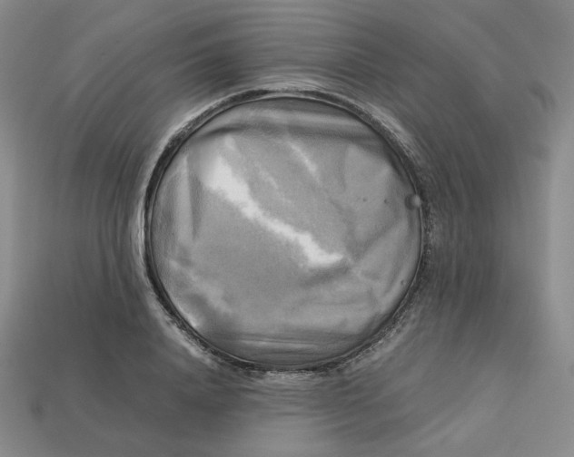X0000112970840200909241325