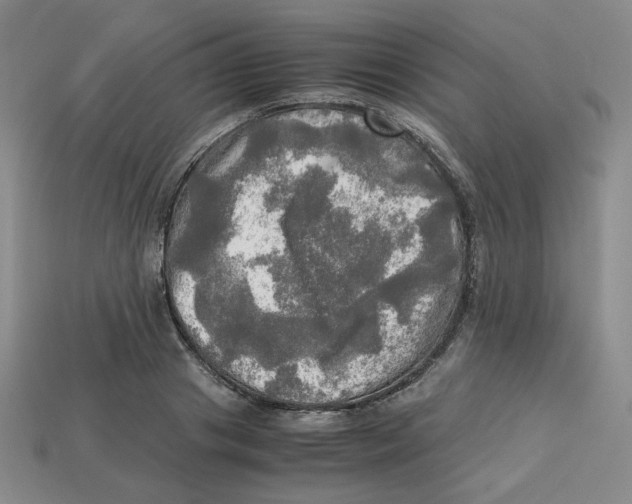 X0000112970841200909241325