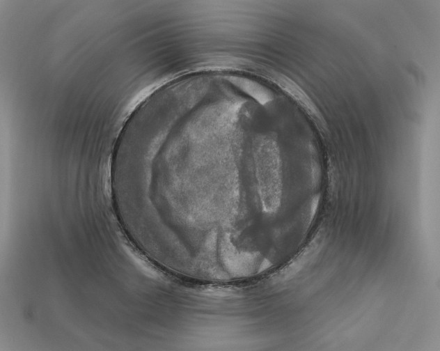 X0000112970842200909241325