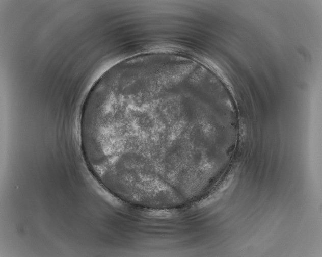 X0000112970843200909241325