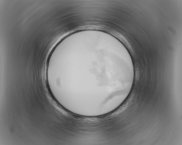 X0000112970844200909241325