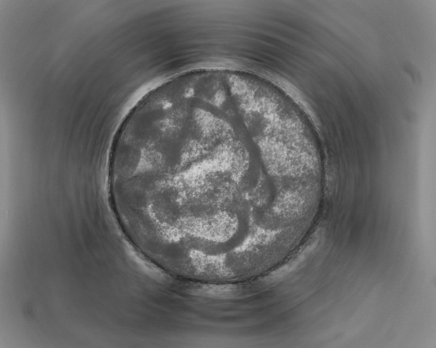 X0000112970845200909241325