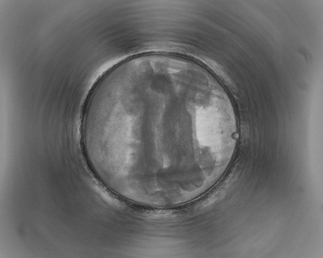 X0000112970846200909241325